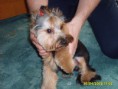 /album/jacky/s5000164-2-jpg/